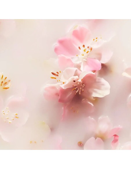 rituals_the_ritual_of_sakura_car_air_freshener_2_x_3_gr_ambientador_coche_8719134185072_promocion