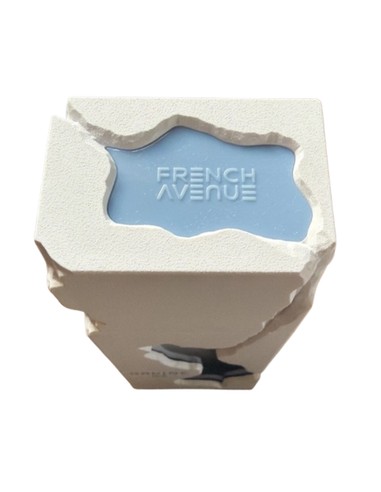 FRENCH AVENUE Ravine Ice Eau de Parfum Unisex 100 ml | Fragancia Fresca Cítrica Amaderada Kiwiku