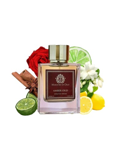 Compra Paris Corner Ministry Of Oud Amber Extrait De Parfum 100ml Unisex En Kiwiku