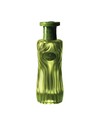 Ahmed Al Maghribi Eau de Parfum Matcha Unisex 100 Ml Fragancia Fresca y Elegante