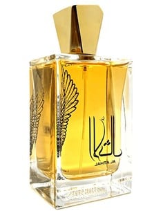 70939 6291108733233 oferta