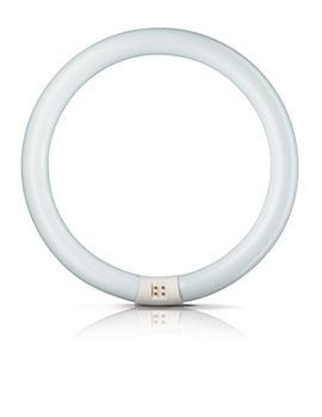 philips_tubo_fluorescente_circular_40w_Ø40cm_trifosforo_6500k_luz_fría_3070lm_8727900840575_oferta