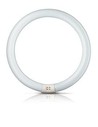 Philips Tubo Fluorescente Circular 40w Ø40cm Trifosforo 6500k Luz Fría 3070lm