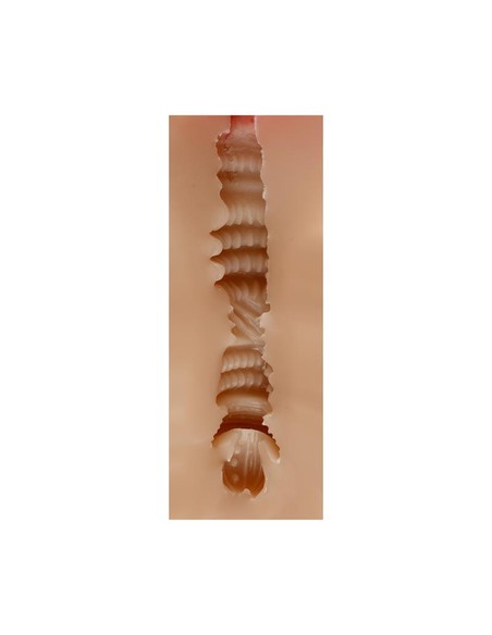 shequ_masturbador_masculino_vagina_judith_skin_14.5_cm_6975052672953_barato