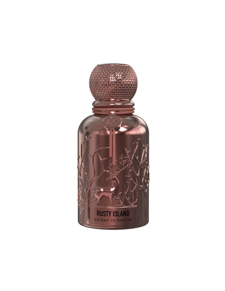 auraa_rusty_island_extrait_-_perfume_unisex_amaderado_cuero_-_extrait_de_parfum_100_ml_vaporizador_6290360832111_promocion