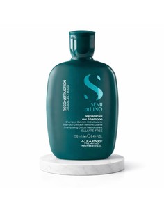 Alfa semi di lino reconstruction champu 250ml