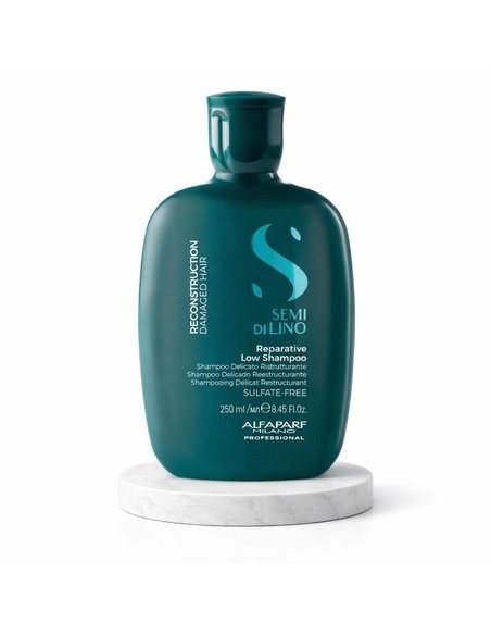 Alfa semi di lino reconstruction champu 250ml