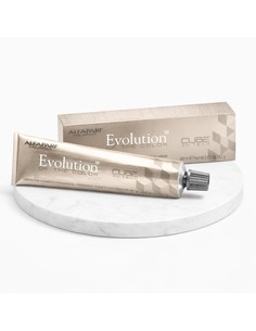 ALFAPARF Evolution Tinte Permanente 60 Ml Color 5.66