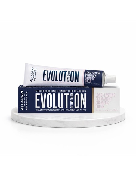 ALFAPARF Evolution Of The Color Fast 6 Ash Tinte Permanente 60 Ml