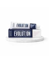 Alfaparf Evolution of the Color 8.13 Tinte para Cabello Rubio Ceniza Dorado 60 Ml