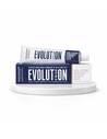 Alfaparf Evolution of the Color 9.13 Tinte Permanente 60ml