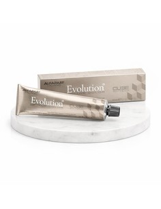 ALFAPARF Evolution Of The Color Cube 1 11 Tinte Permanente 60 Ml