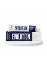 Alfaparf Tinte Permanente Evolution of the Color 3 60ml