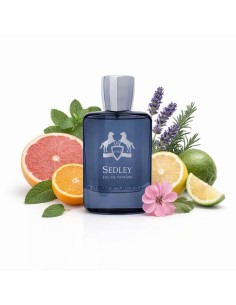 fragrance_world_sedley_perfumed_water_for_men_100_ml_-_perfume_masculino_fougère_cítrico_6291108327609_oferta 2