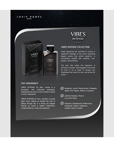 LOUIS VAREL Vibes Intense - Eau de Toilette 100 ml Hombre | Kiwiku