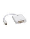 V7 Adaptador de Video Blanco Mini Displayport A Dvi-d