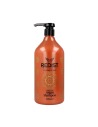 REDIST Moroccan Argan Champú 1000 ml para Cabello Seco y Dañado