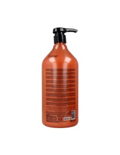 REDIST Moroccan Argan Champú 1000 ml para Cabello Seco y Dañado 2
