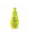 The Fruit Company Gel de Manos Higienizante Melón - Jabón de Manos Hidratante Con Aloe Vera 250 Ml