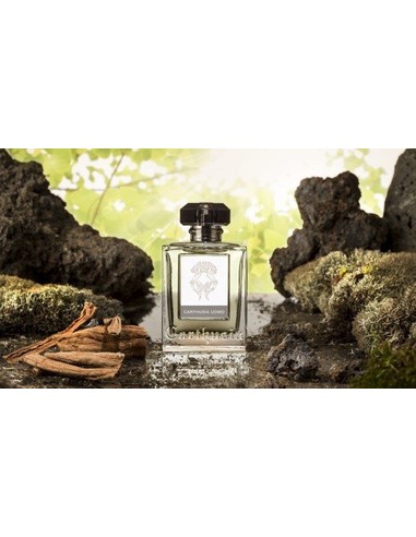 carthusia-uomo-perfume-masculino-amaderado-aromatico-eau-de-_8032790462999_barato