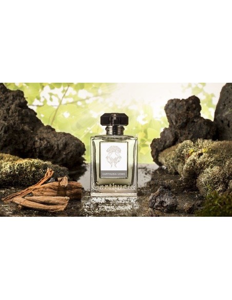 carthusia-uomo-perfume-masculino-amaderado-aromatico-eau-de-_8032790462999_barato