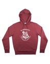 Cerda Sudadera Con Capucha Harry Potter - Sudadera Chándal Rojo Talla Xl