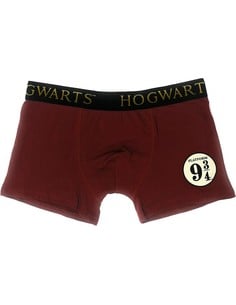 cerda-harry-potter-calzoncillos-boxer-hogwarts-express-platf_9991327311515_oferta