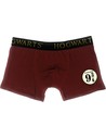 Cerda Harry Potter Calzoncillos Boxer Hogwarts Express Platform - Boxer Hombre - Algodon Elastano Talla L