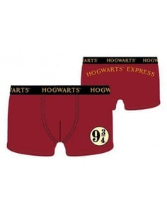 cerda-harry-potter-calzoncillos-boxer-hogwarts-express-platf_9991327311515_oferta 2