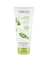Yardley London Crema de Manos Lirio de los Valles - Crema Hidratante Manos Piel Seca 100 Ml