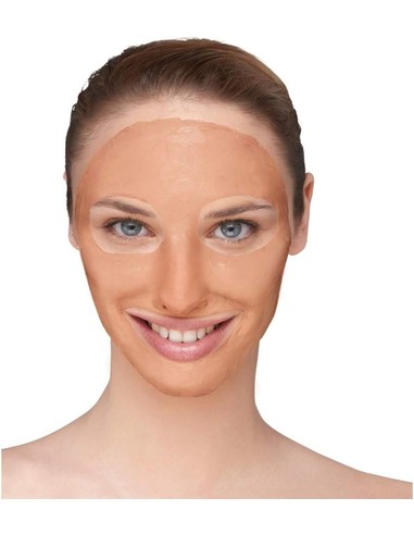 garnier-volcano-mask-skinactive-rescue-mask-minimiza-poros-m_3600542032575_barato