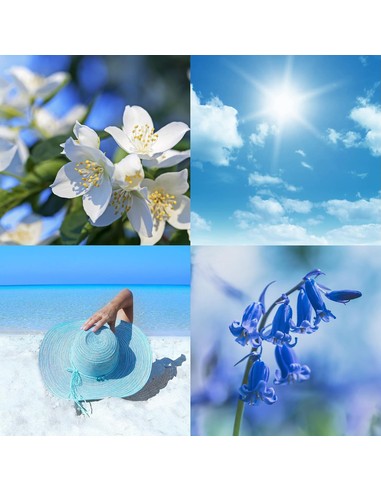 milton-lloyd-summer-sky-perfume-masculino-aromatico-fougere-_0025929168402_barato