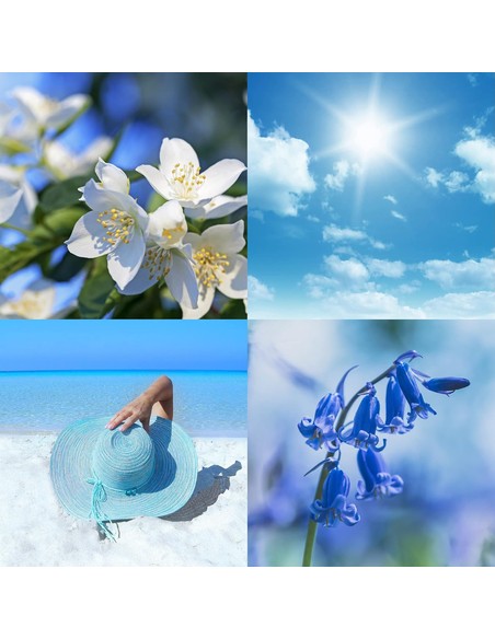 milton-lloyd-summer-sky-perfume-masculino-aromatico-fougere-_0025929168402_barato
