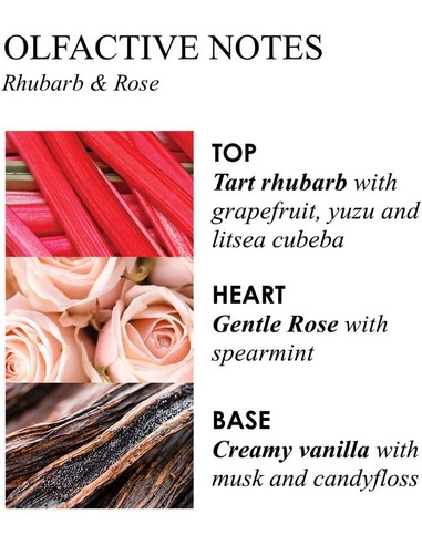 molton-brown-delicious-rhubarb-rose-gel-de-bano-y-ducha-100-_0008080089847_barato