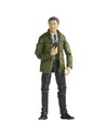 Marvel Figura Hasbro Marvel Agente Jimmy Woo - Figura Merchandising 15 Cm