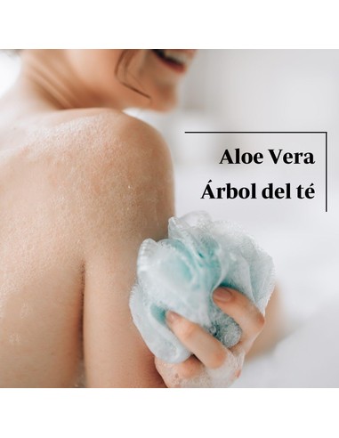 ebers-botanica-nutrients-gel-de-bano-aloe-vera-y-arbol-del-t_8436572542549_barato