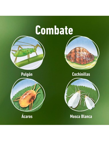 compo-accion-total-insecticida-plantas-de-interior-y-exterio_8411056146352_novedad
