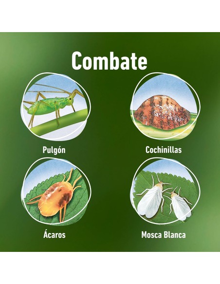 compo-accion-total-insecticida-plantas-de-interior-y-exterio_8411056146352_novedad