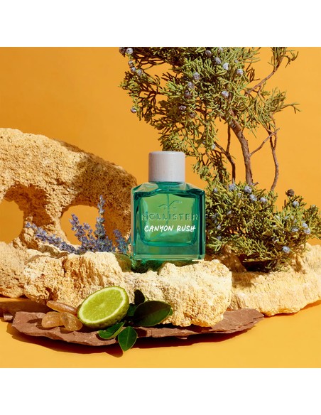 hollister-canyon-rush-perfume-masculino-amaderado-aromatico-_0085715267542_barato