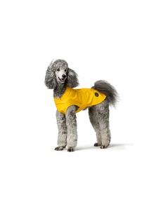 hunter-abrigo-para-perro-milford-impermeable-perro-amarillo-_4016739697349_oferta