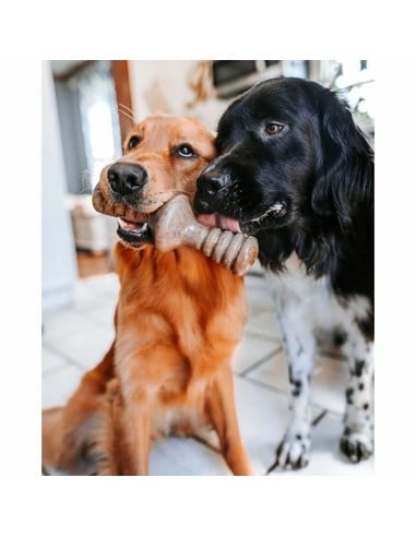 benebone-puppy-2-pack-maplestick-zaggler-juguete-mordedor-pe_0854111004705_barato