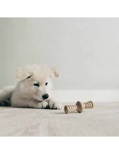 benebone-puppy-2-pack-maplestick-zaggler-juguete-mordedor-pe_0854111004705_novedad