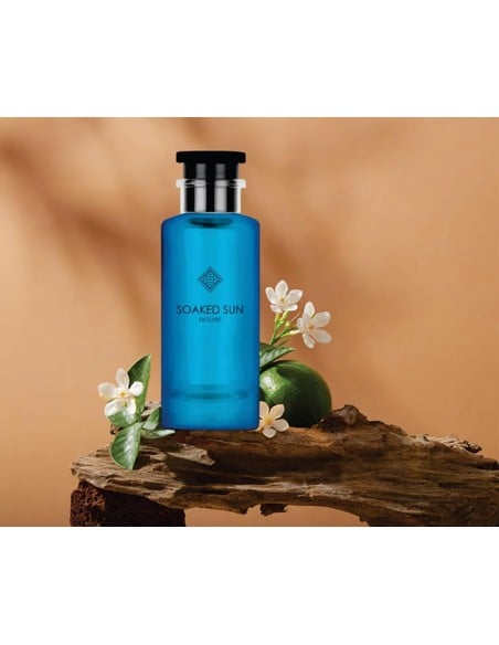 grandeur-soaked-sun-exclusif-by-grandeur-elite-perfume-unise_5055810035846_barato