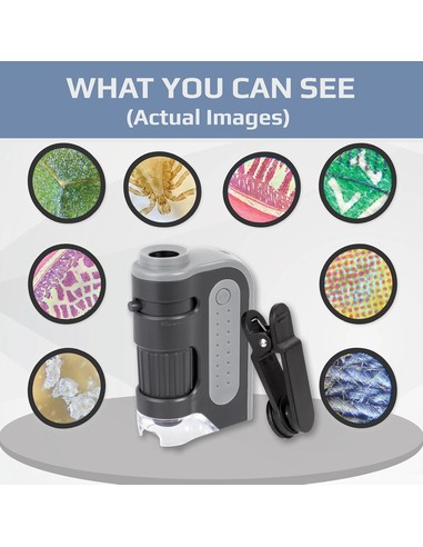 carson-mm-300-microscopio-con-led-60-120-aumentos-microscopi_4250138218457_barato