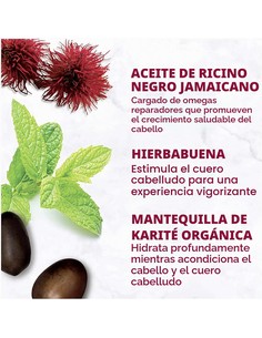 shea-moisture-jamaican-black-castor-oil-strengthen-restore-c_7643022213336_oferta 2