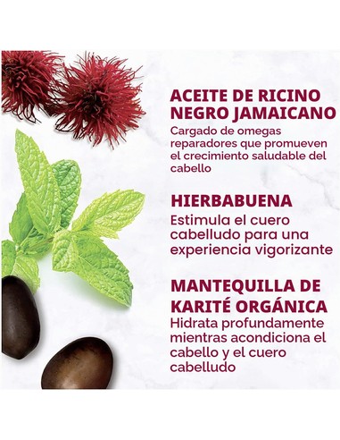 shea-moisture-jamaican-black-castor-oil-strengthen-restore-c_7643022213336_promocion