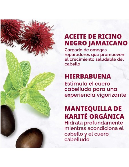 shea-moisture-jamaican-black-castor-oil-strengthen-restore-c_7643022213336_promocion