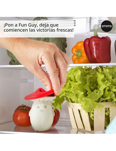 lund-stougaard-fun-guy-absorbeolores-nevera-66-g_7290015169356_promocion