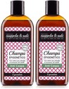 Nuggela & Sulé Champú Epigenético Anti-caspa - Champú Cabello Con Caspa 2x250 Ml