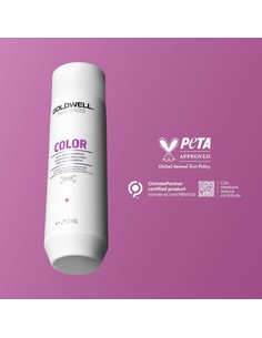 goldwell-dualsenses-color-brilliance-champu-cabello-tenido-2_4021609029007_oferta 2